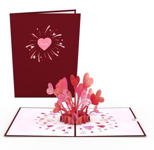 Love Burst Lovepop card